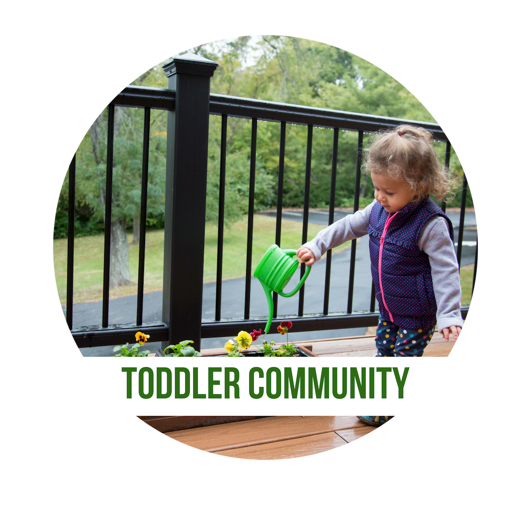 TODDLER PROGRAM (1)